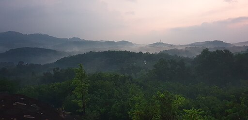 Skyline view of Kerala forests.