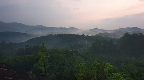 Skyline view of Kerala forests.