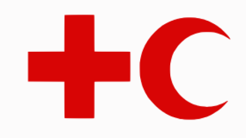 IFRC_flag_used_in_Kengir_Uprising